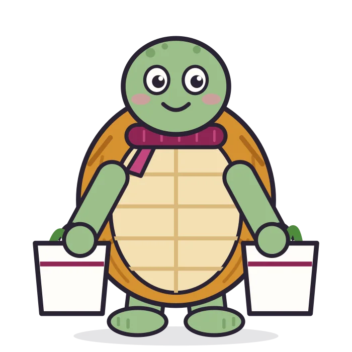 Tempo the tortoise carrying two grocery bags